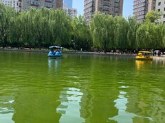 -团结湖公园