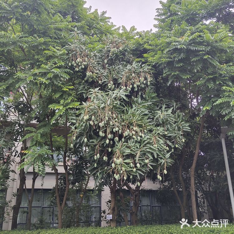 好喜欢的婚礼场地