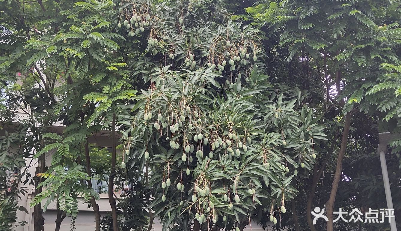 好喜欢的婚礼场地