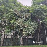 好喜欢的婚礼场地