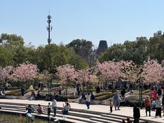 -新江湾城公园