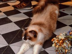 -seeu coffee(江滩店)