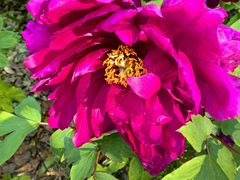 -苏州河梦清园环保主题公园