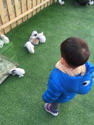 -萌宠亲子动物乐园(槐房万达店)