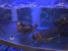 -七欣天香辣蟹火锅(上海银亿滨江店)