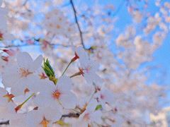 -龙美术馆(西岸馆)