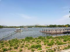 -石家庄市植物园