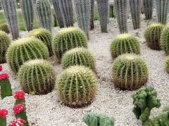 -三亚蜈支洲岛旅游区