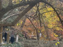 -虞山风景区