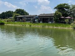 -海珠湖公园