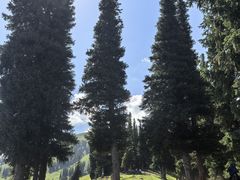 -新疆那拉提国家旅游度假区