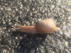 -京东图文广告(奉贤新城店)