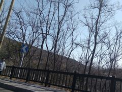 -小田乌鱼排(济宁总店)