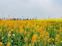 -中国天府农业博览园