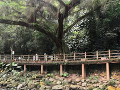 -广州市石门国家森林公园