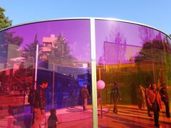 -金泽21世纪美术馆