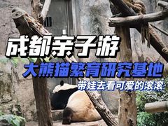 -成都大熊猫繁育研究基地