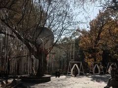 -吉林市朱雀山国家森林公园