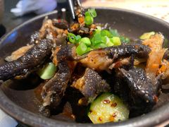 -蛙小侠(卓悦里店)
