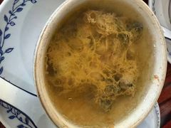 -達揚原味燉品(文明路店)