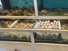 -泰白海鲜烧烤大全