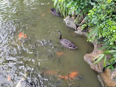 -珠海圆明新园