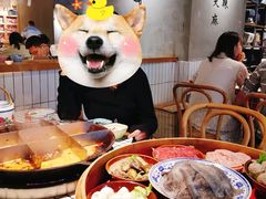 -董眼镜火锅(洪崖洞总店)
