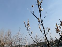 -南京珍珠泉风景区