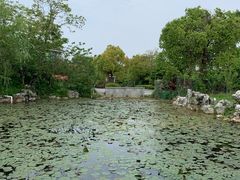 -雨花胜境