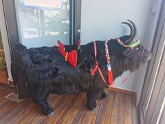 -后院犇牛主题餐厅(云岗店)