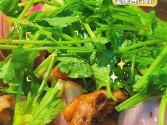 香菜-凤兴鸡煲(宝安海雅店)