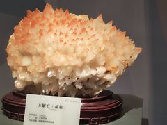 -湖南省地质博物馆