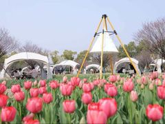 -饭橘汉江码头·乡野土菜馆(静安路店)