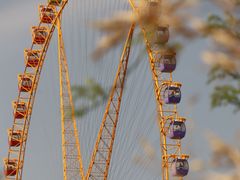 -石家庄市动物园