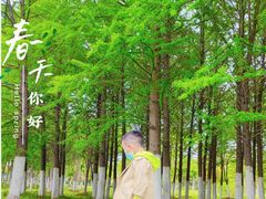 -滨湖塘西河公园