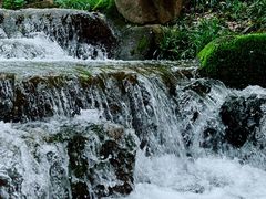-中国茶叶博物馆(双峰馆区)
