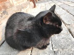 -通安客栈中餐厅·何家小馆