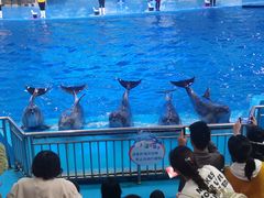 -多彩贵州城极地海洋世界