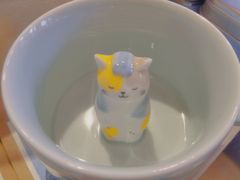 -猫的天空之城概念书店(丽江古城饮玉巷店)