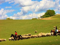 -塞罕坝国家级自然保护区
