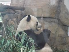 -成都动物园
