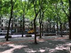 -Cactus墨西哥仙人掌餐厅