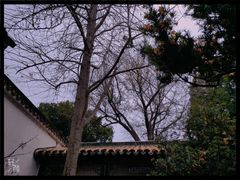 -拙政园