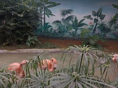 -成都动物园