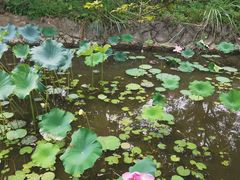 -福建鲤鱼洲酒店