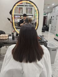 -YESIDO椰岛造型