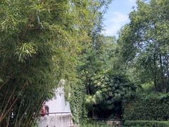 -成都动物园
