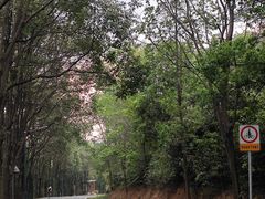 -高榜山景区
