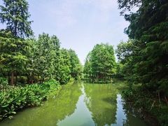 -西溪国家湿地公园