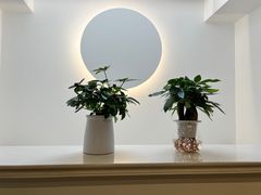 -龙大花卉苗木市场